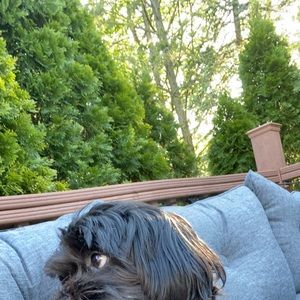 Meet your Posher, Margaret